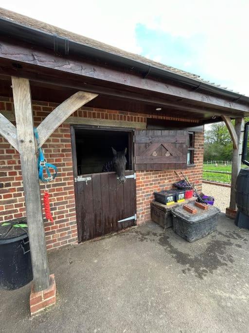 The Stable, Grove End Farm Apartment เพทเวิร์ธ ภายนอก รูปภาพ