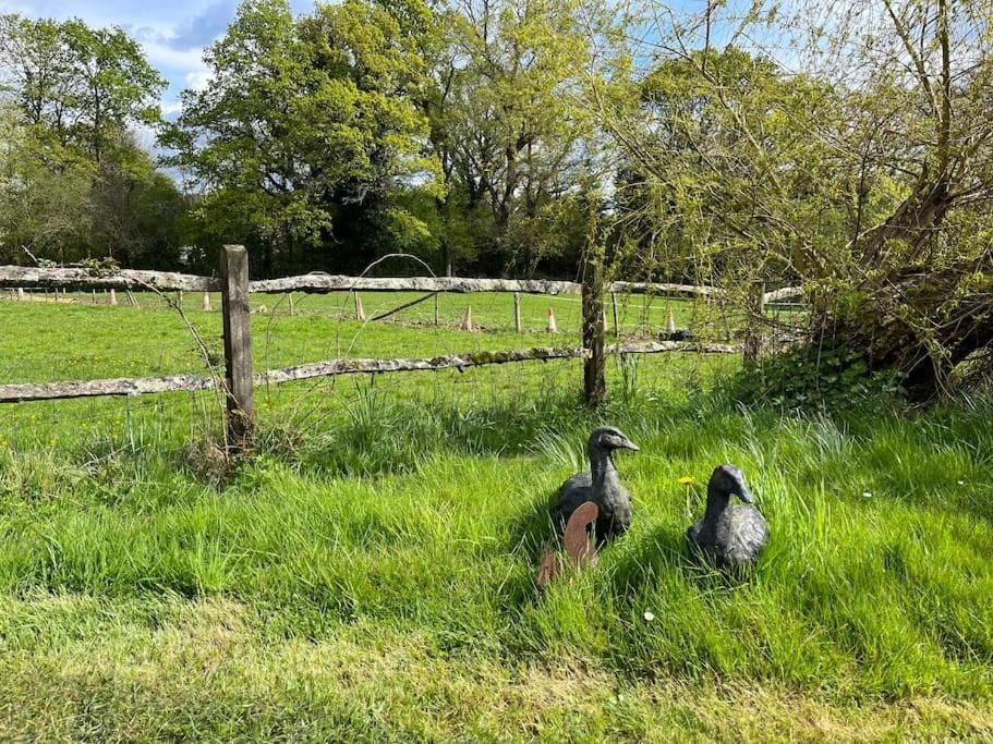 The Stable, Grove End Farm Apartment เพทเวิร์ธ ภายนอก รูปภาพ