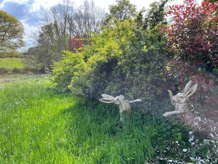 The Stable, Grove End Farm Apartment เพทเวิร์ธ ภายนอก รูปภาพ